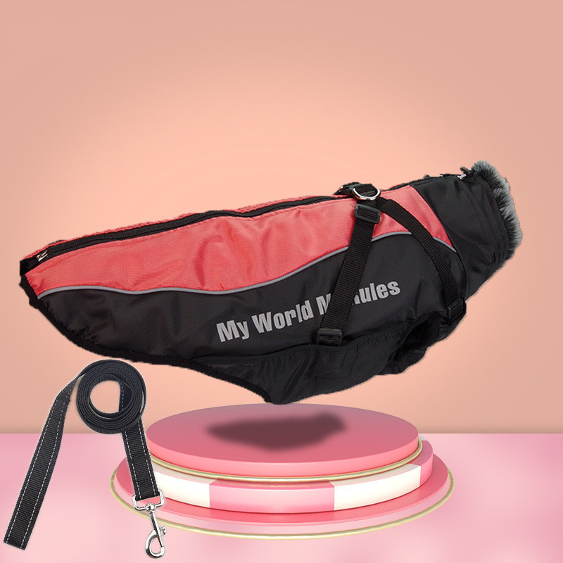 Shop Secondary Image